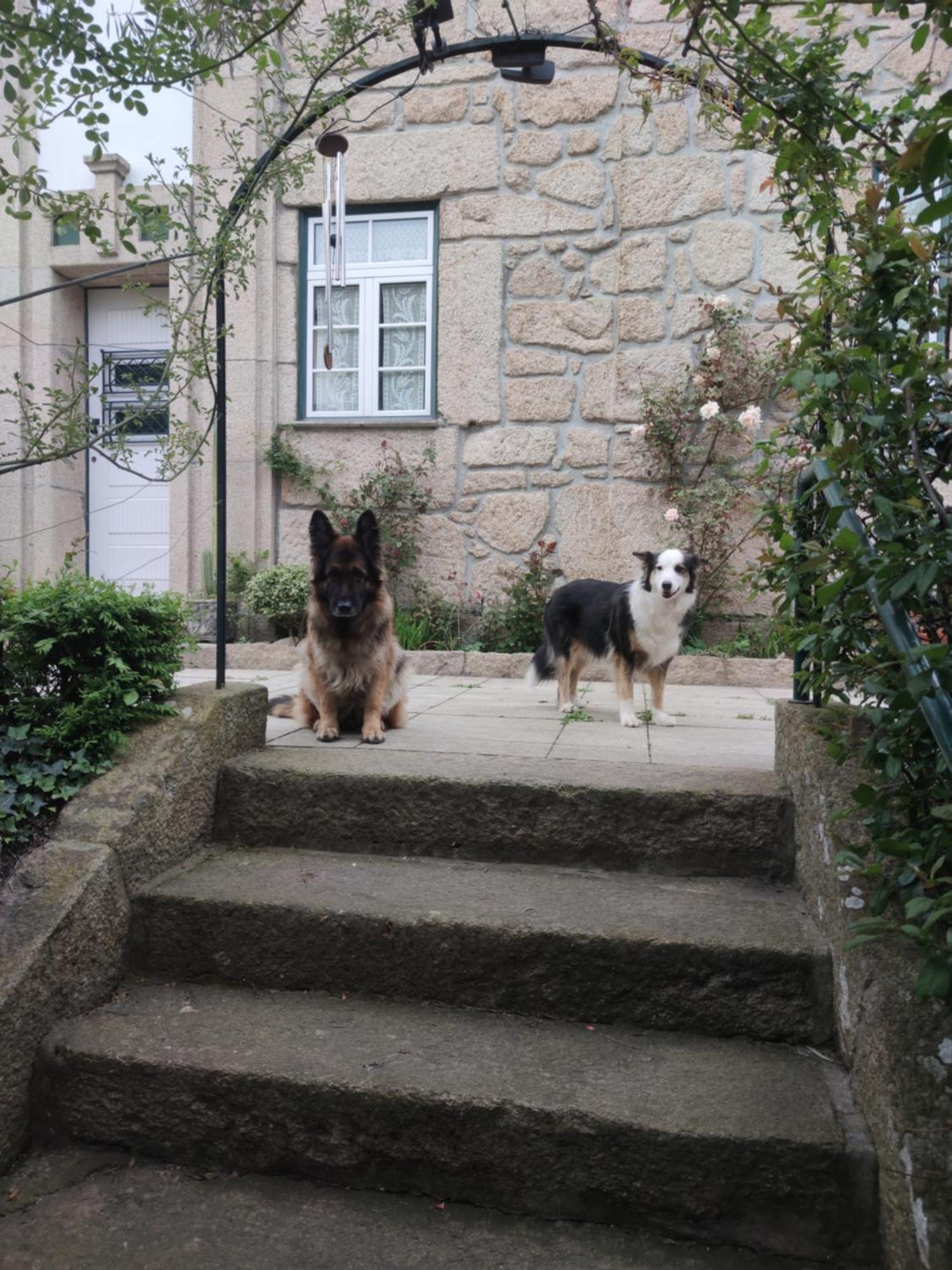 Real Santo Antonio Guest House Tarouca Buitenkant foto
