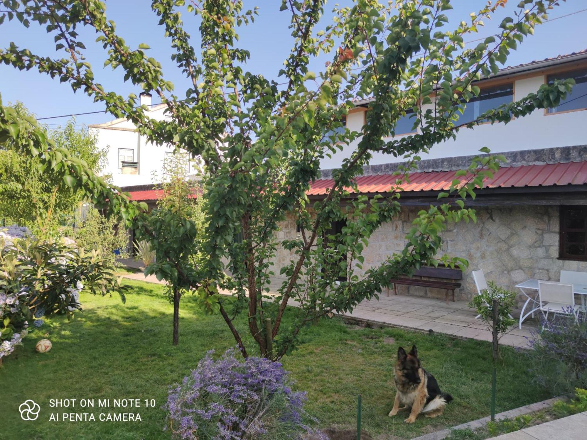 Real Santo Antonio Guest House Tarouca Buitenkant foto
