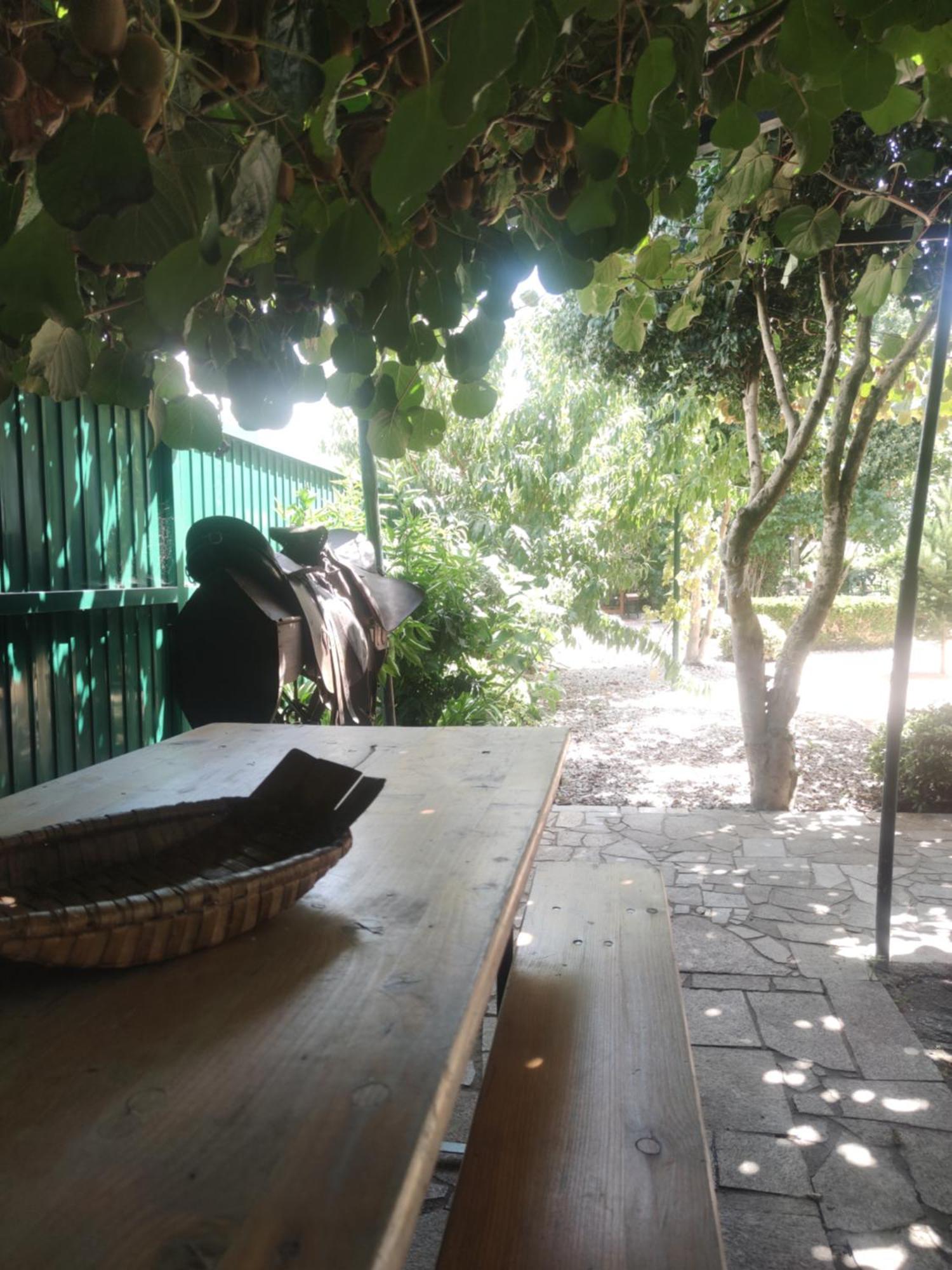 Real Santo Antonio Guest House Tarouca Buitenkant foto