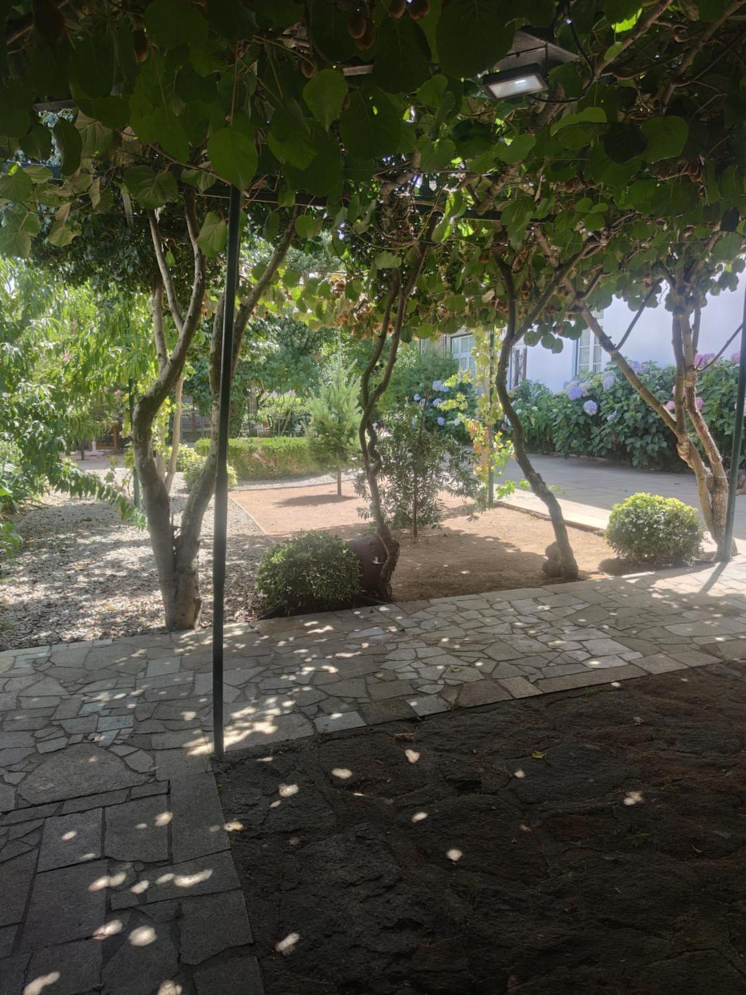 Real Santo Antonio Guest House Tarouca Buitenkant foto
