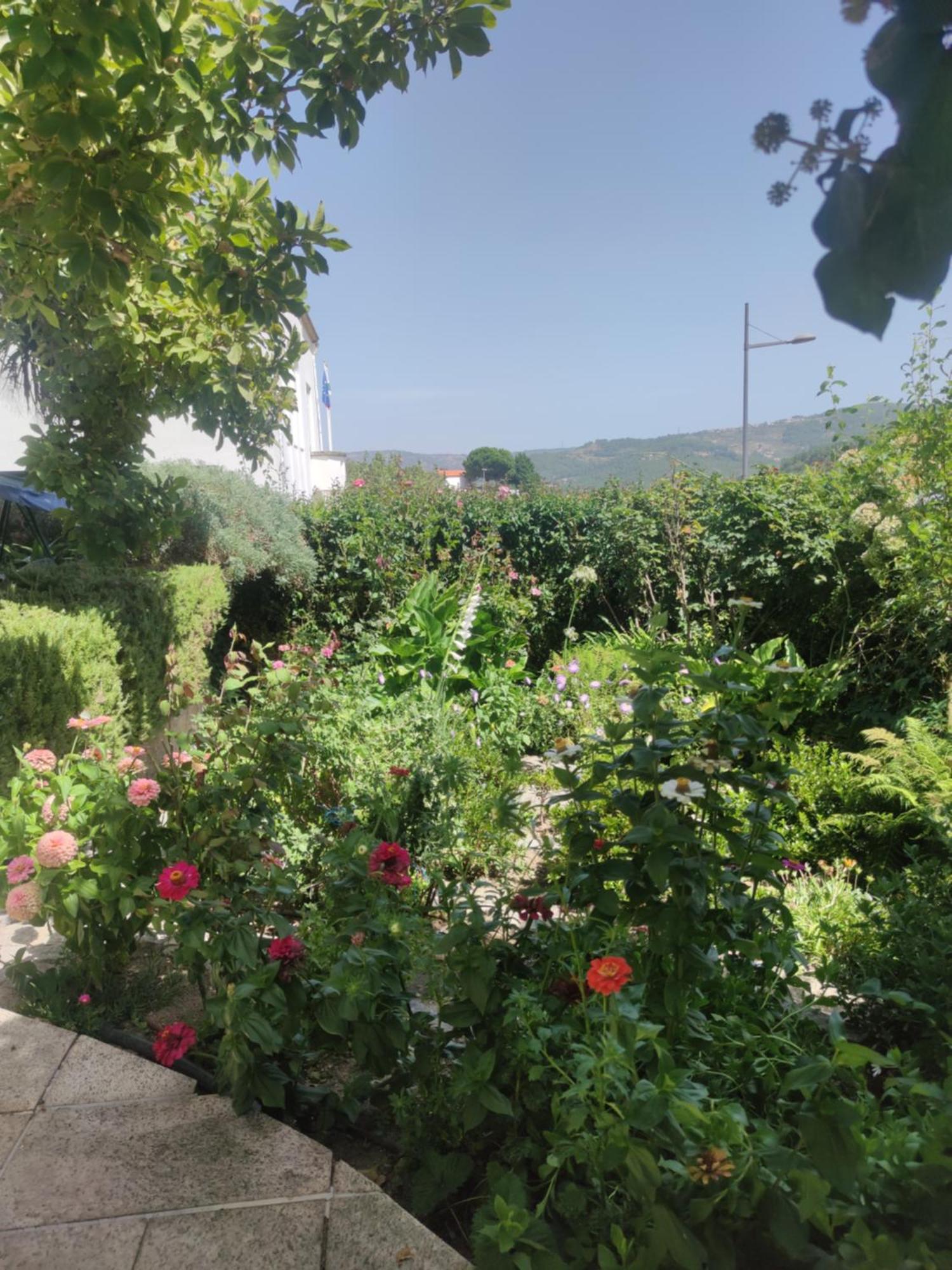 Real Santo Antonio Guest House Tarouca Buitenkant foto