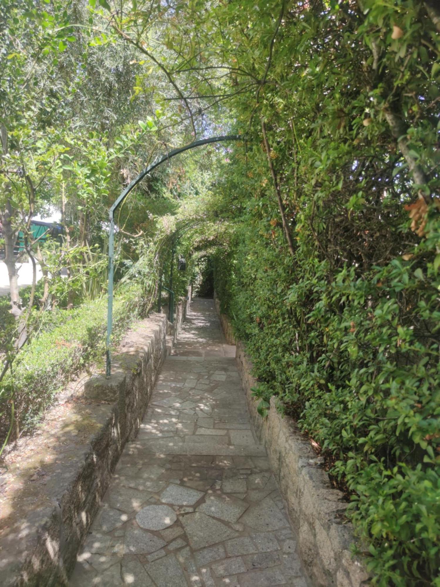 Real Santo Antonio Guest House Tarouca Buitenkant foto