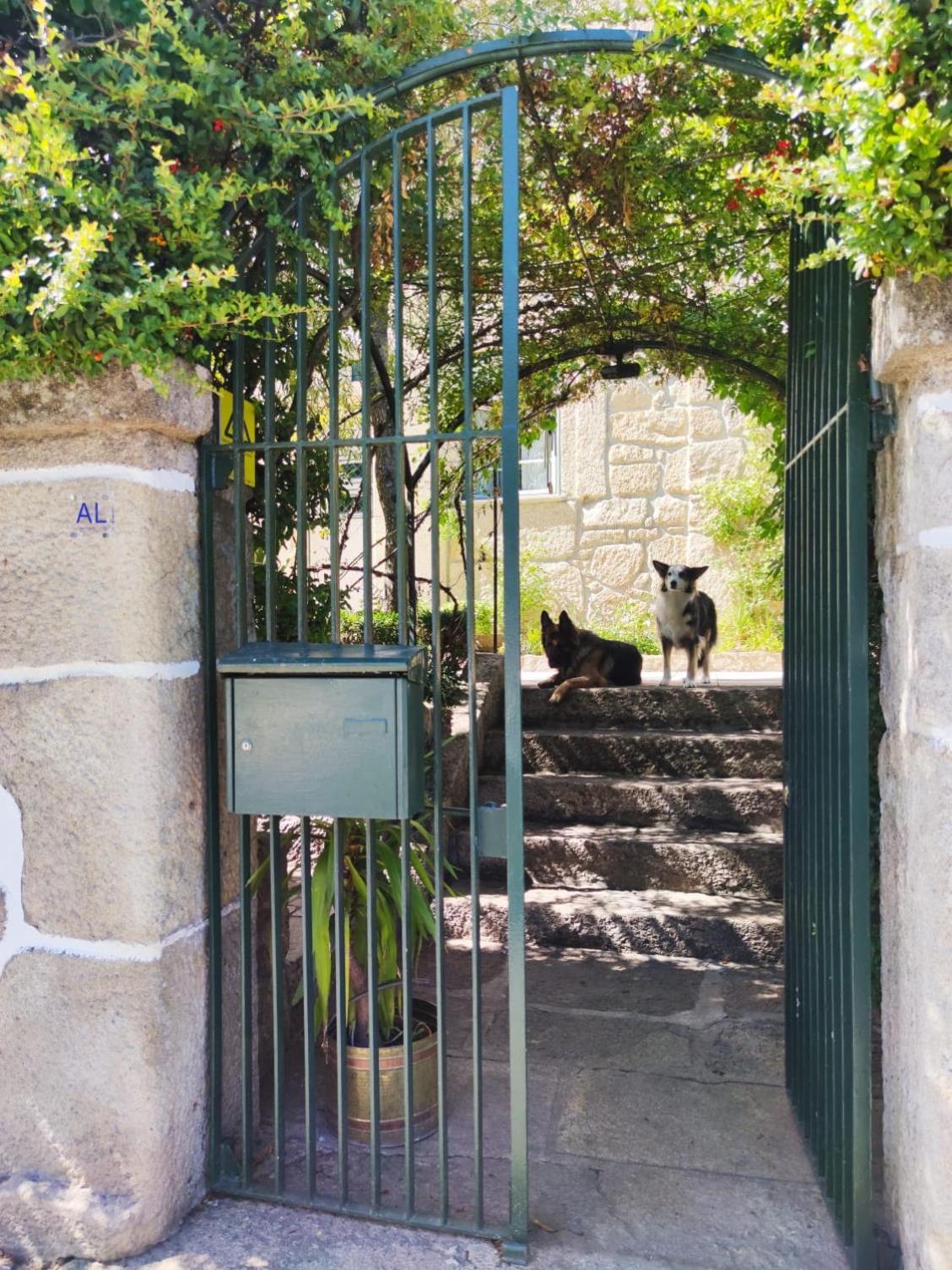 Real Santo Antonio Guest House Tarouca Buitenkant foto