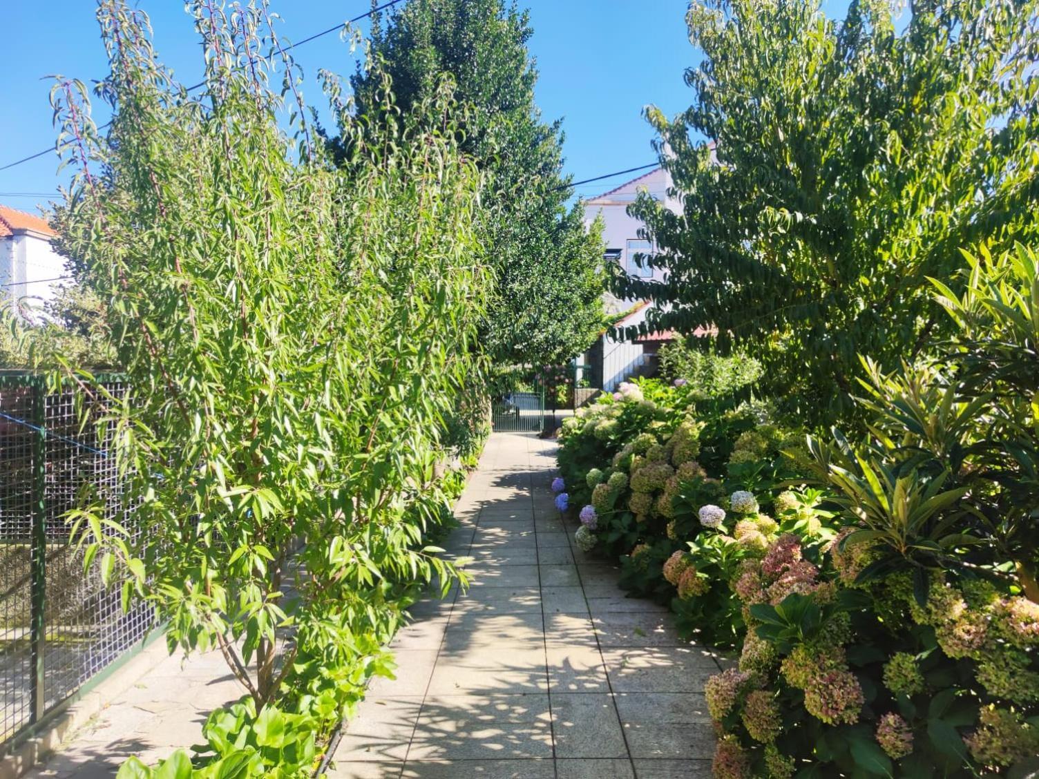 Real Santo Antonio Guest House Tarouca Buitenkant foto