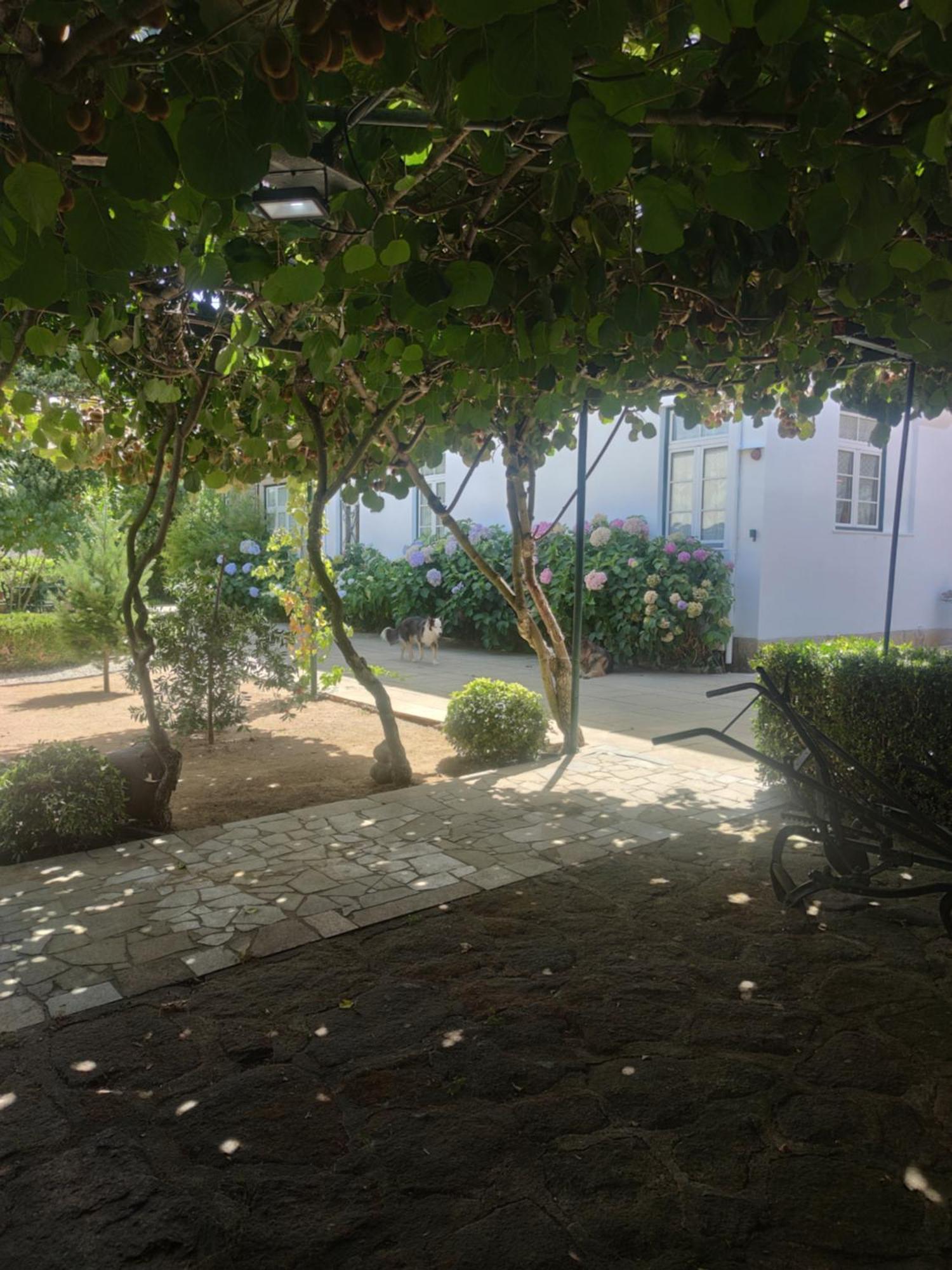 Real Santo Antonio Guest House Tarouca Buitenkant foto